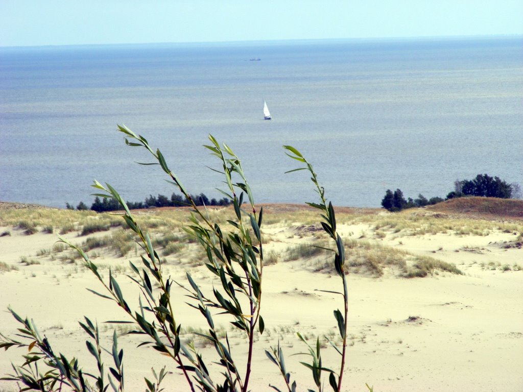 Nidden Blick von der Düne ins Haff by wwrxs