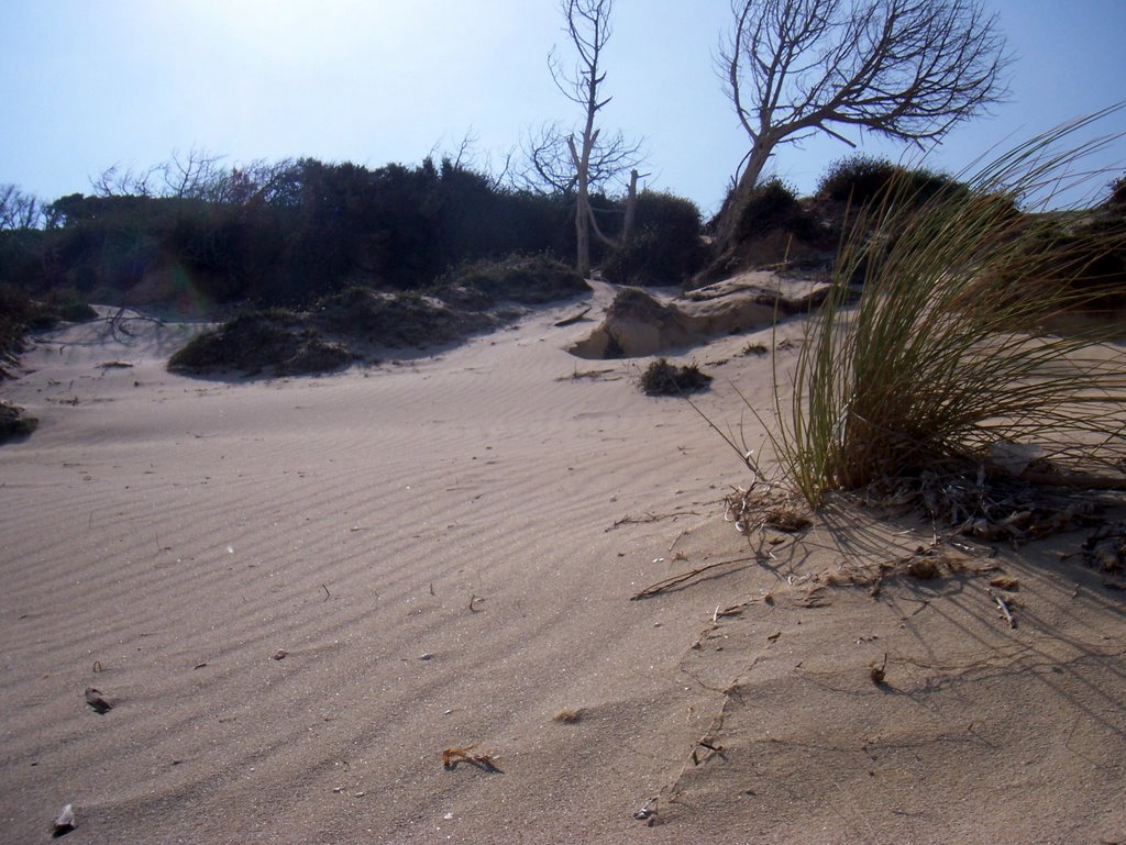 Arenal de Son Saura 10 - Dune by Roberto Paterniti