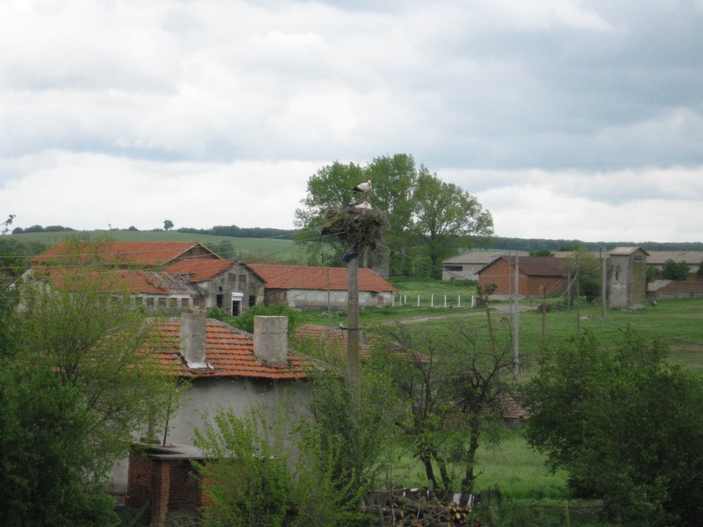 View of the former TKZS (cooperative farm) yard by cucharadeoro