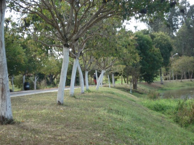 Lago municipal em Conchal-SP by LpsPps