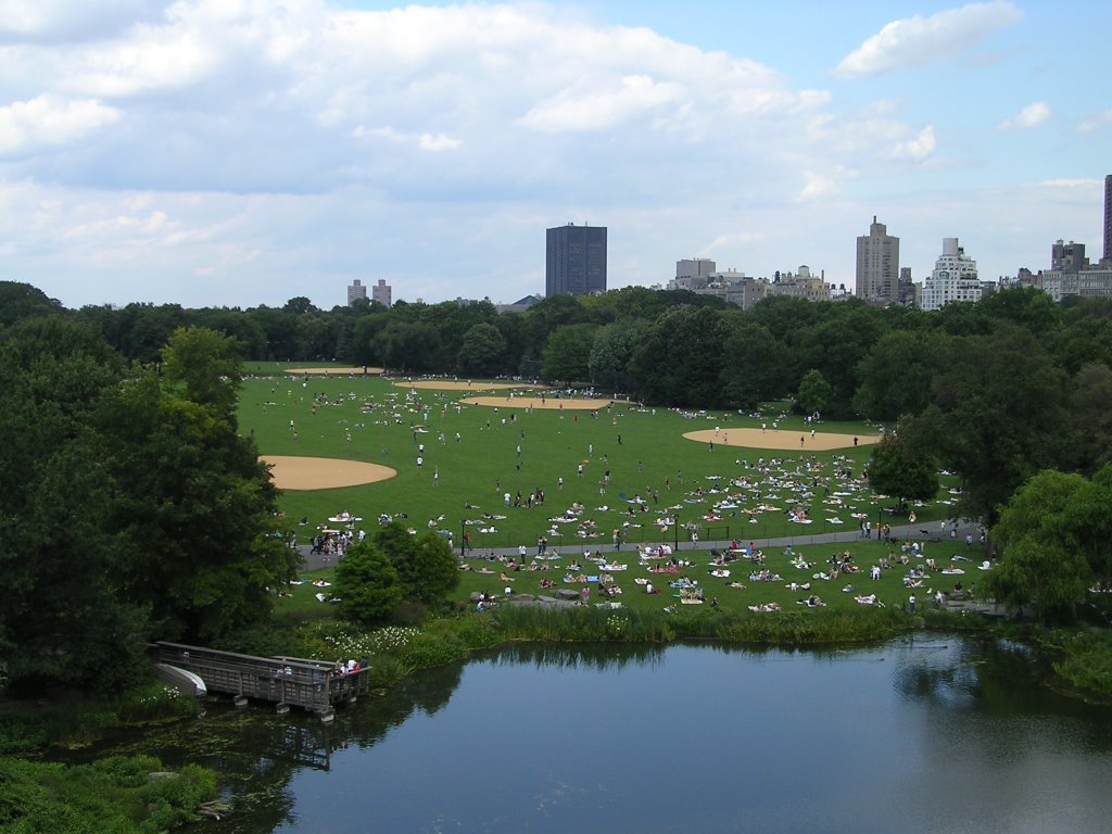 Central park by serge le roy