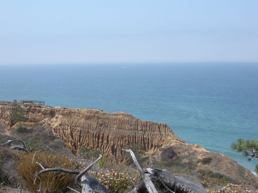 Torrey Pines by JustinB