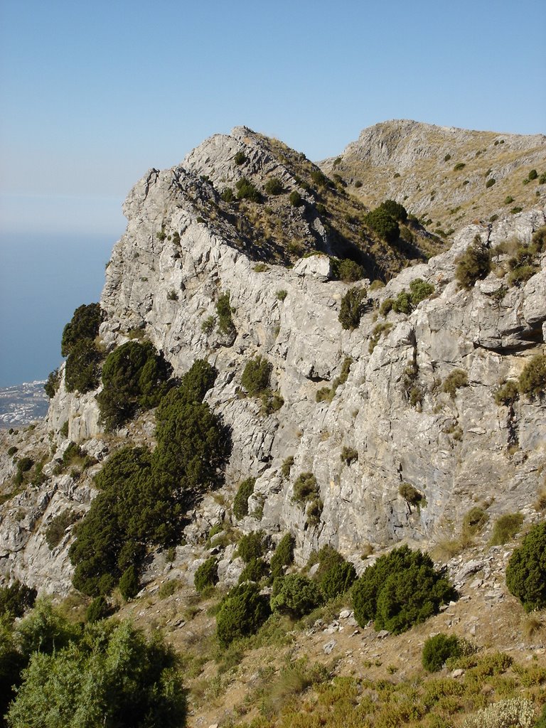 Vista del cuello del caballo by YULPROJECT