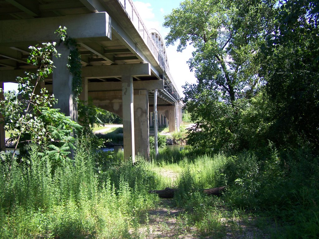 Under the bridge by keithyearman