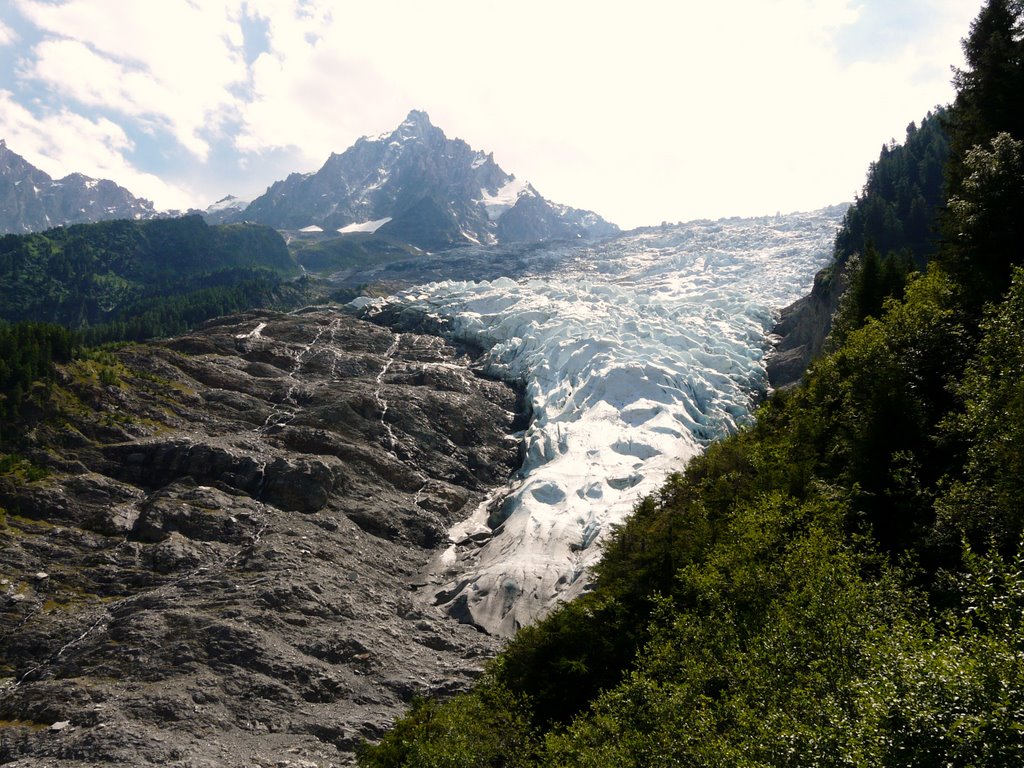 Le glacier des bossons (le glacier du mont blanc) by cris02