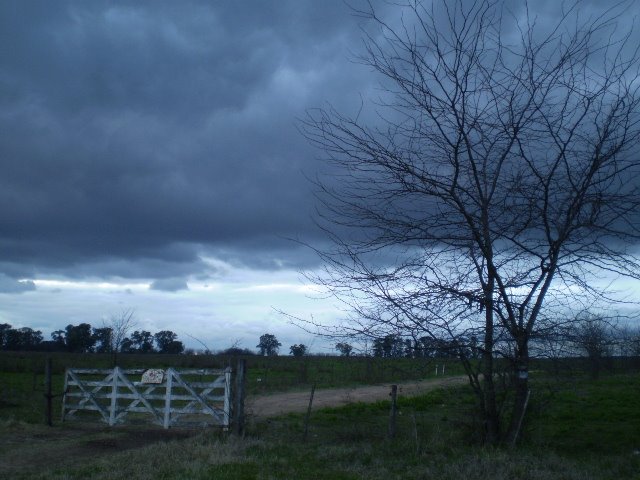 Frente Frio by Enrique Hollmann