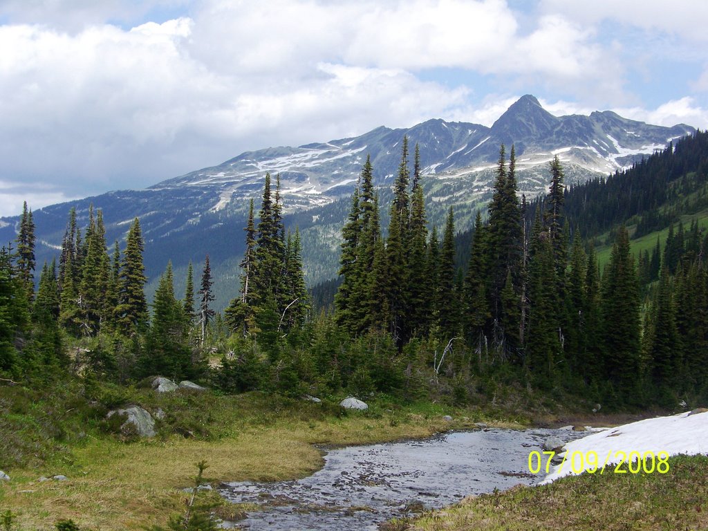 Look back to Blackcomb Peak by Wester Van