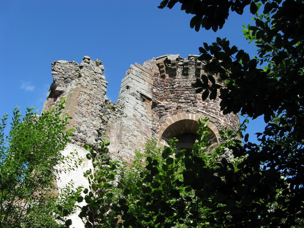 Siaugues-Sainte-Marie (le Château) by lafriq1