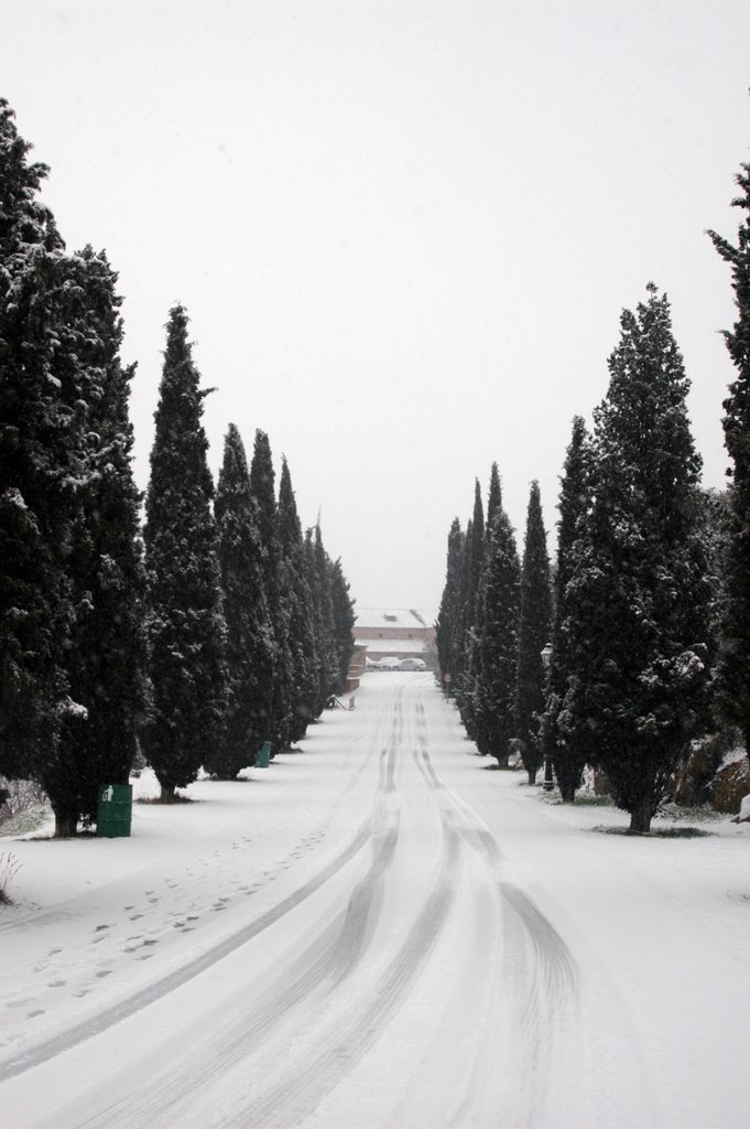 Entrada al Parador con nieve by birdie1954