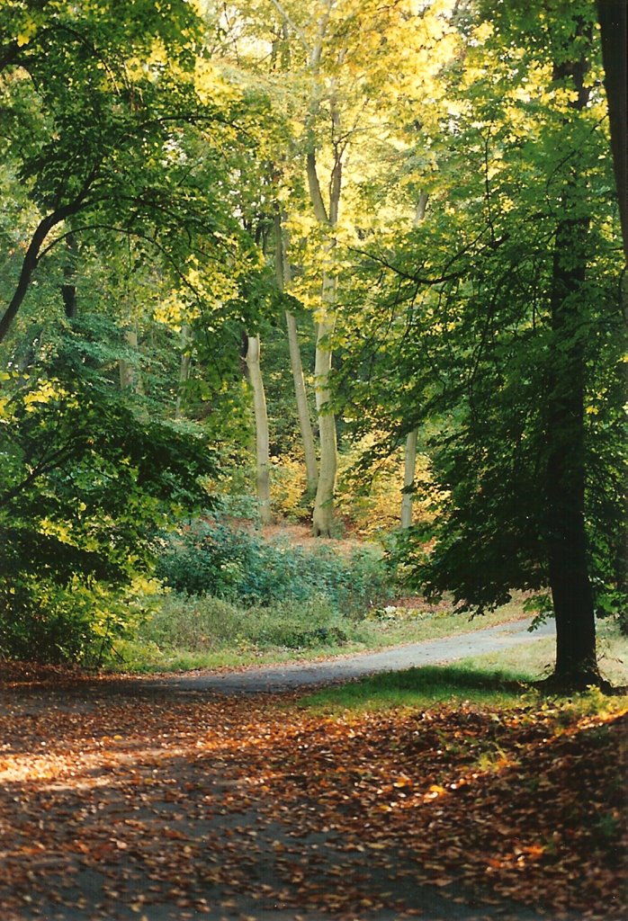 Herbststimmung im Volkspark Glienicke, Berlin-Zehlendorf by wilma52