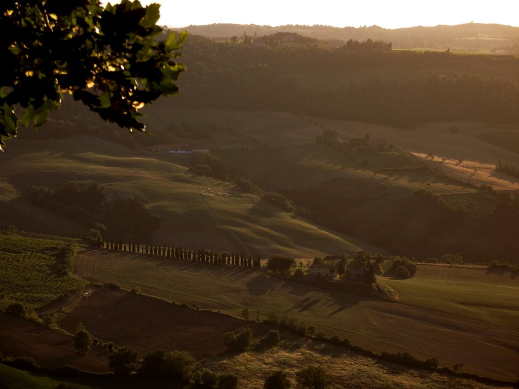 Italien, Toskana, Montepulciano, Abendstimmung by Dieter Schumann