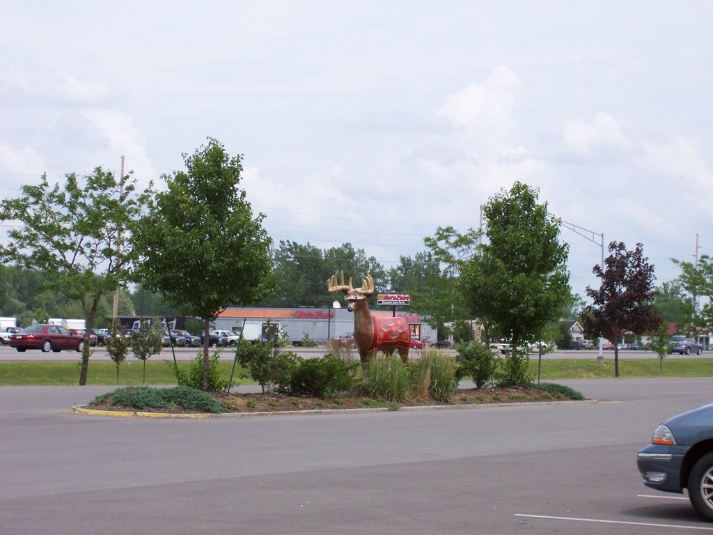 Wooden Deer ouside McDonald's by bowlerbill2