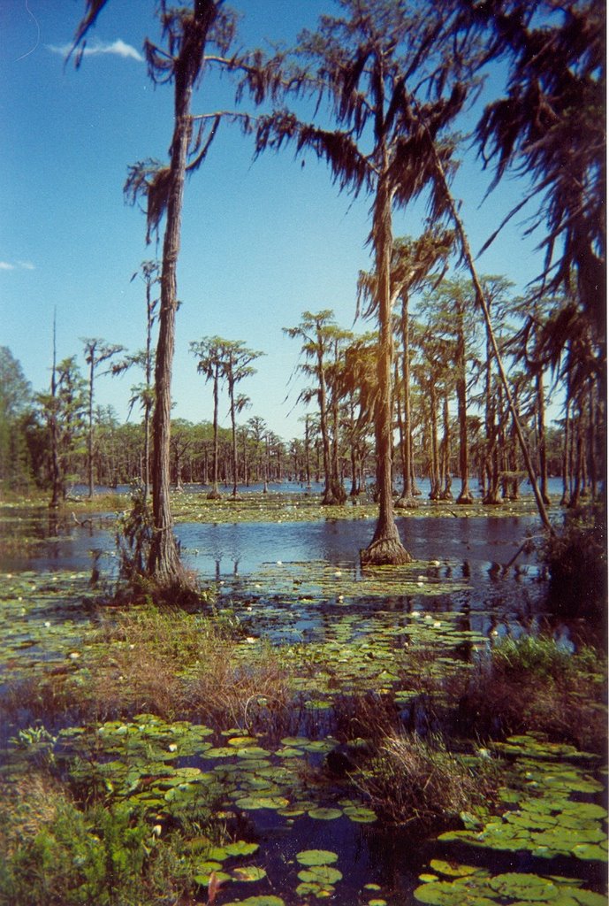 Banks lake 1 by colormeruby