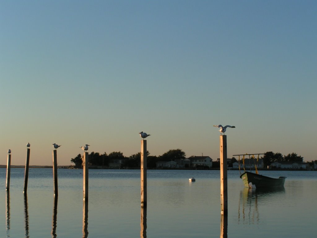 Barnegat Bay LBI by K.McDonough-Collins