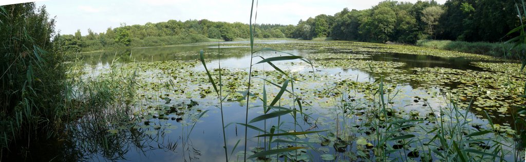 Lonnekermeer 02-08-08 by b.vroling