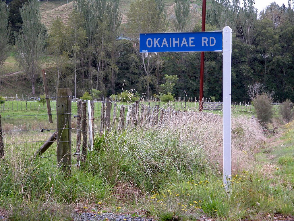 Okaihae Road by Donald Gray