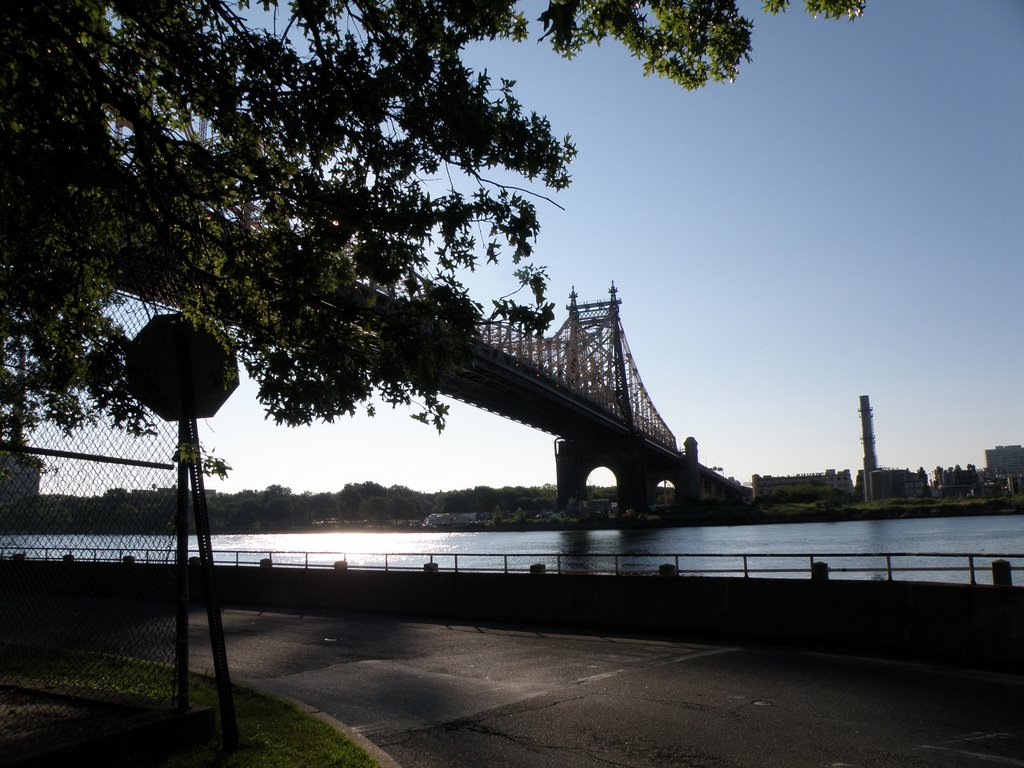 View Of Queensborough Bridge From Roosevelt Island, New York. by Nasir Uddin