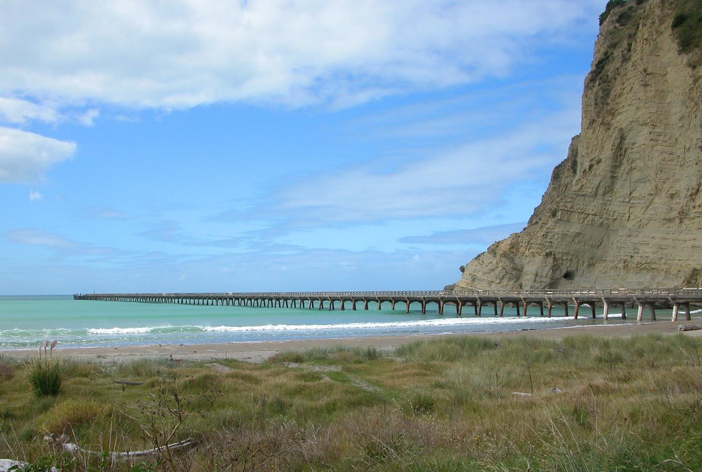 Tolaga Bay Wharf by Donald Gray