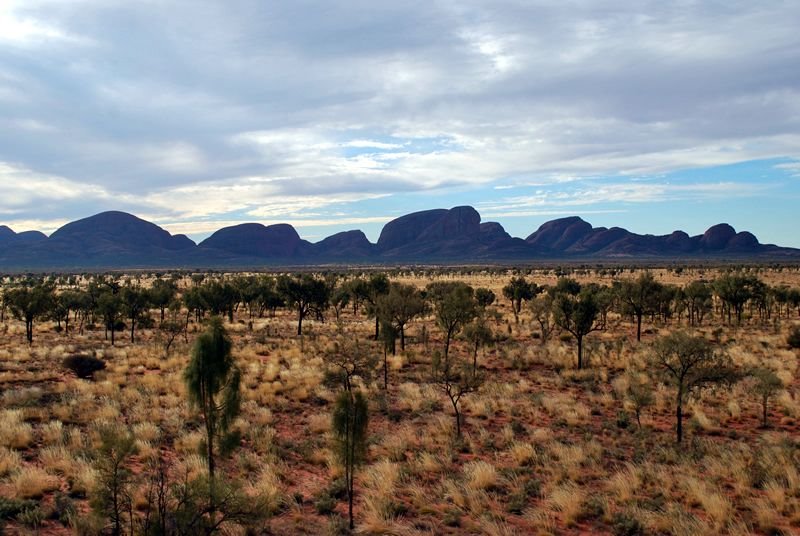 Kata Tjuta - Many Heads by Forteetu