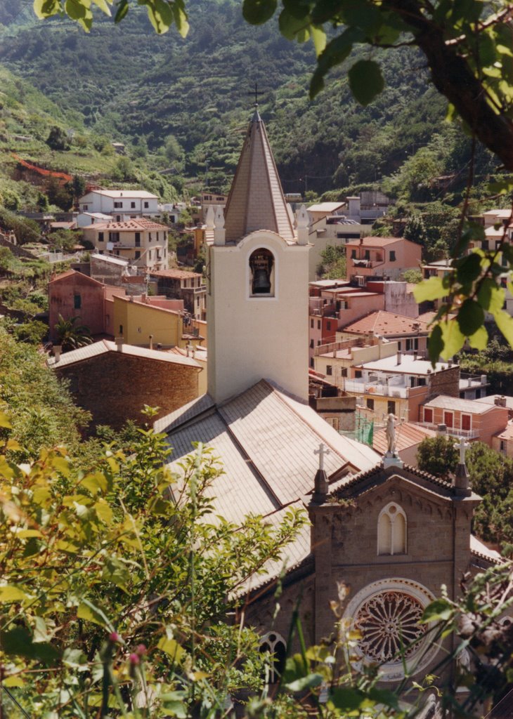 19017 Riomaggiore SP, Italy by La_Fenice