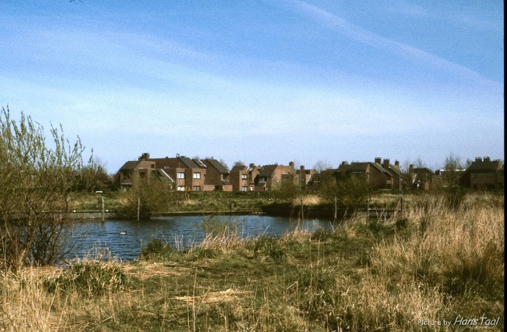 Waardeiland 1989 by Hans Taal