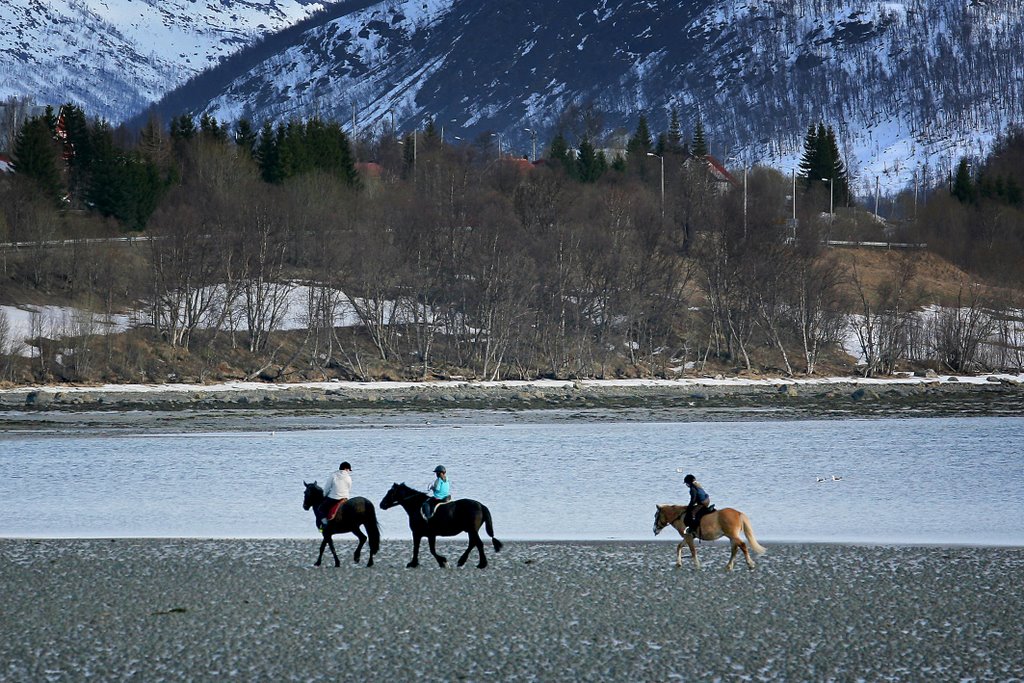 Tre ryttere i fjæra by www.fiskum.org