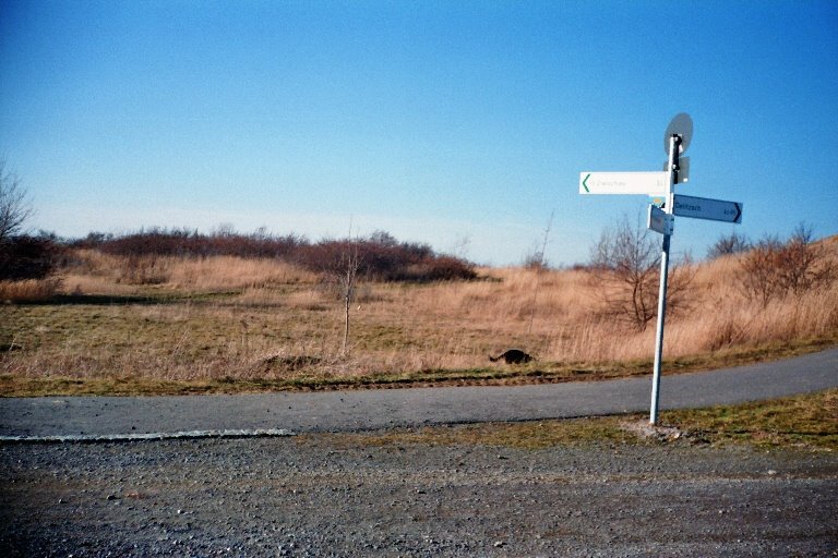 Wegweiser Grabschützer See und Werbeliner See by Thomas1969