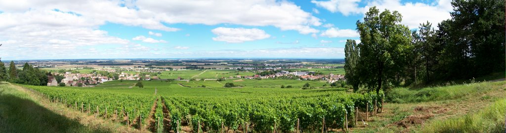 Panorama Fixin Chemin des quatre Peupliers by ascarface