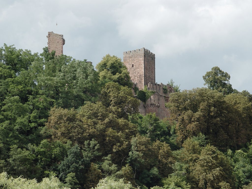 97909 Stadtprozelten, Bayern by ichbins bernd