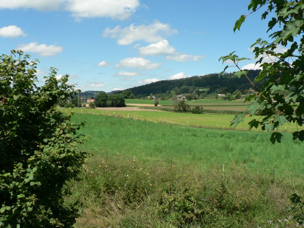 Fields near the Pfäffikersee by Niek Bergboer