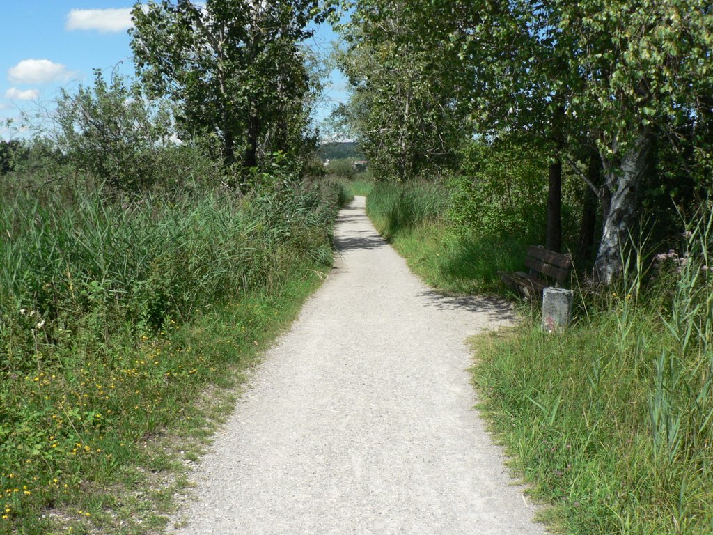 Walking path near the Pfäffikersee by Niek Bergboer