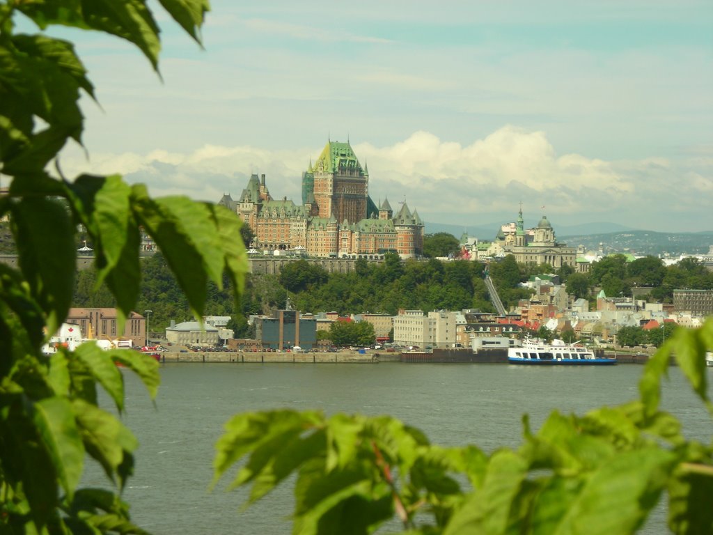 Québec vu de Lévis by the bull