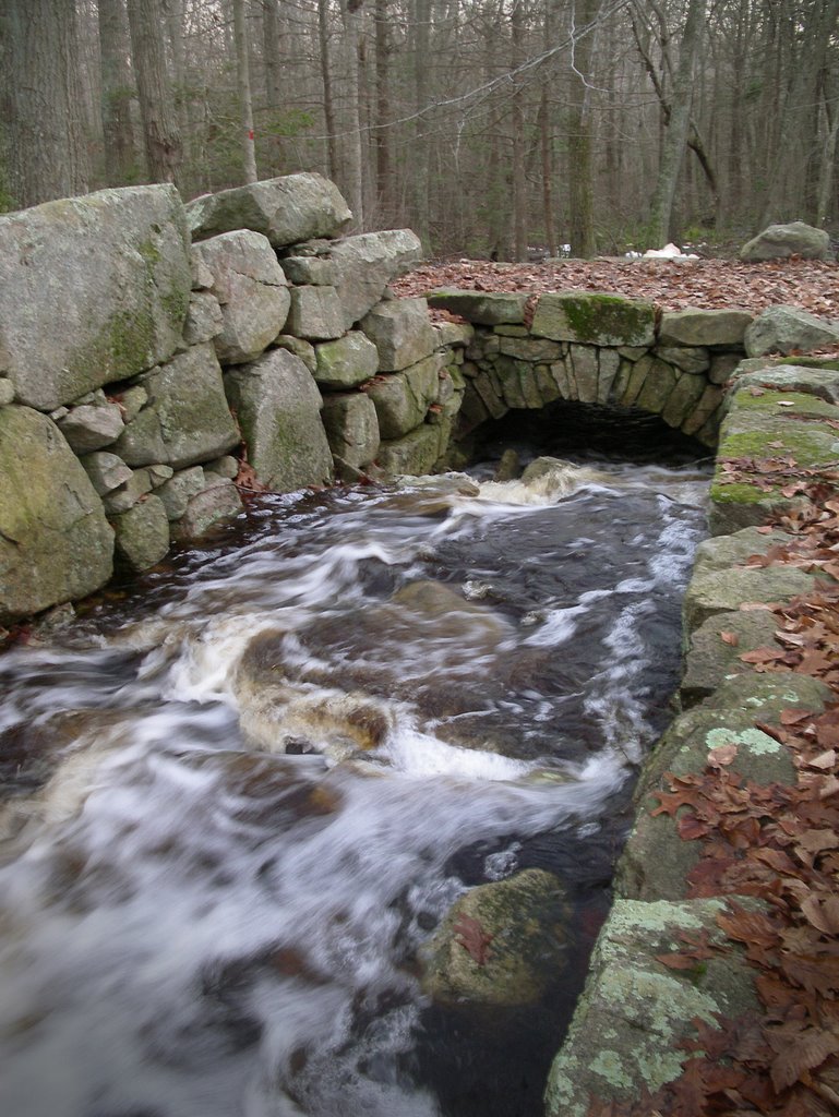 Old MIll Site2, Weetamoe Woods by Vaillancourt Photogr…