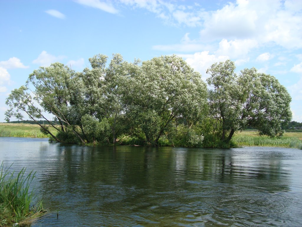 Рязанская область. Река Ранова в селе Кипчаково (Ryazan' area. The Ranova river) by SuperAleks