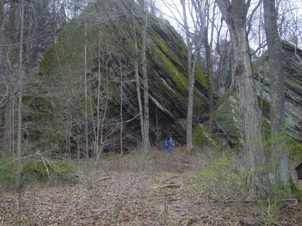 Ferne Clyffe State Park by DaWaRa