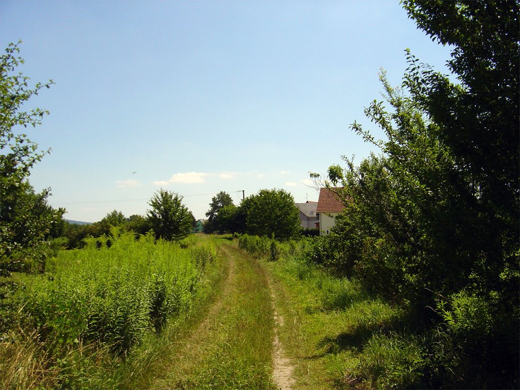 Behind the gardens by http://www.meispix.com (Philippe Meisburger)