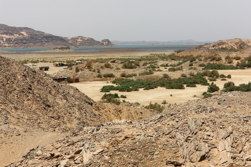 Wadi Alaqi by Ahmed Hegab