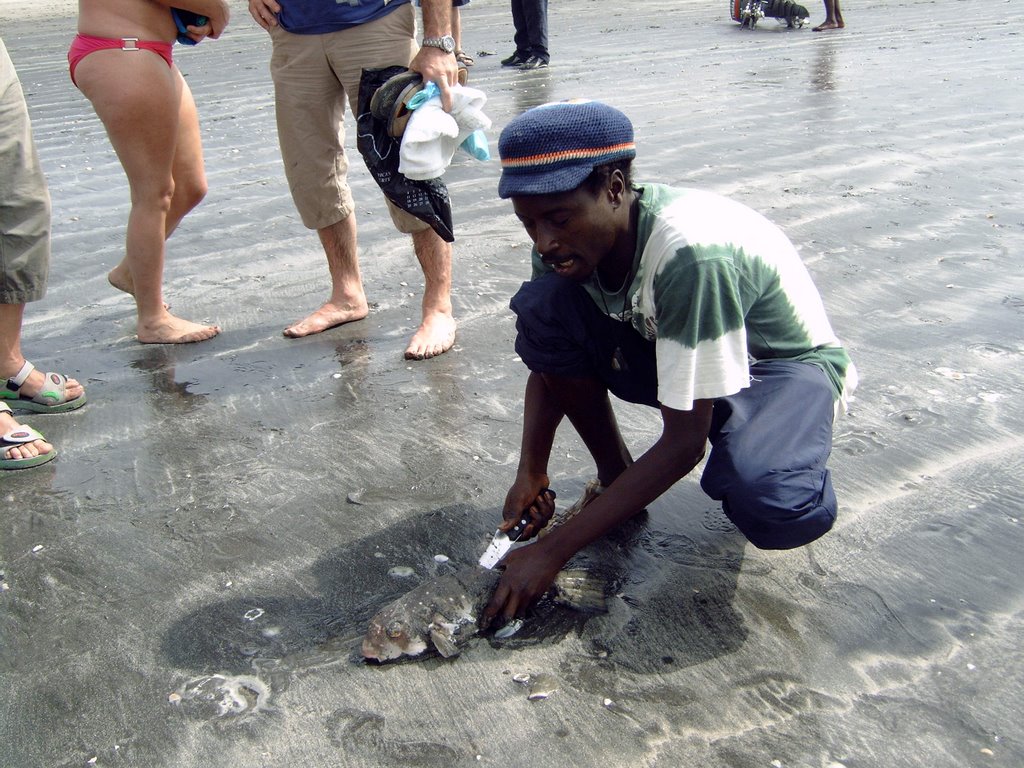 Gambia Kololi een vis slachten op het strand by Math Bleeker