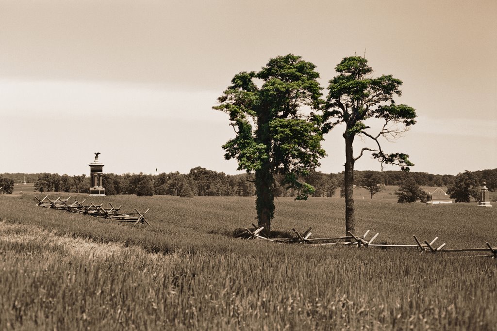 Trees Near the Peach Orchard by Vaillancourt Photogr…