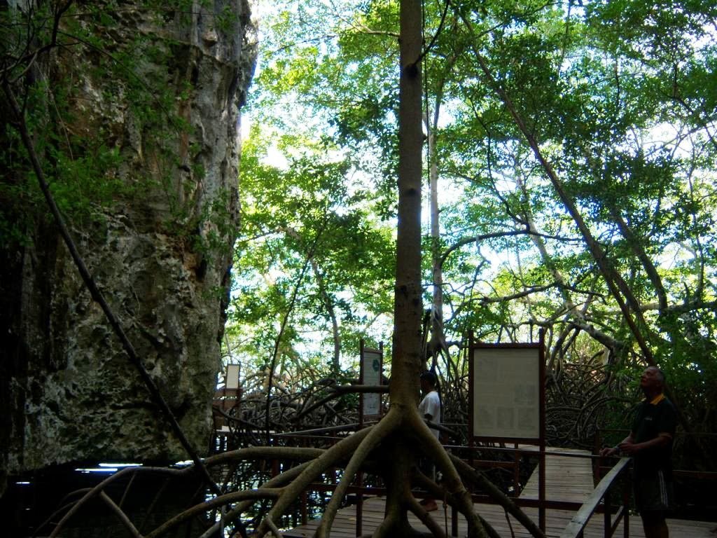 Cuevas indigenas, Refugio de Cuare by Juan Carlos Virgüez …