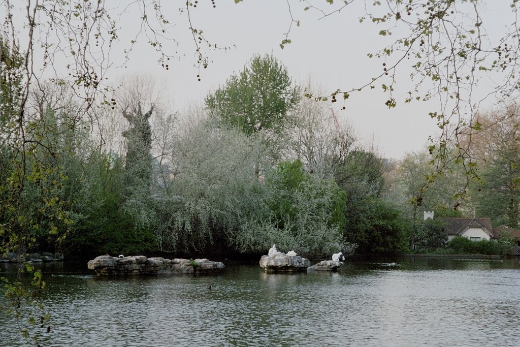 Silence in the park by FingerT