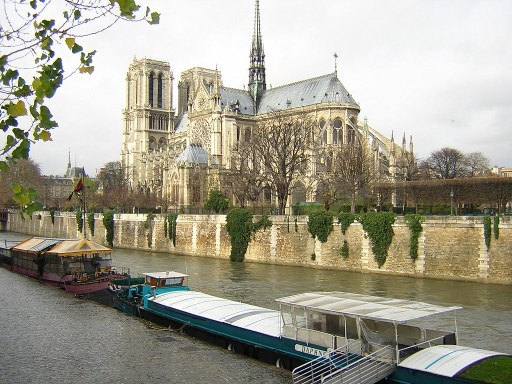 Notre Dame by Roberto Abizanda San…