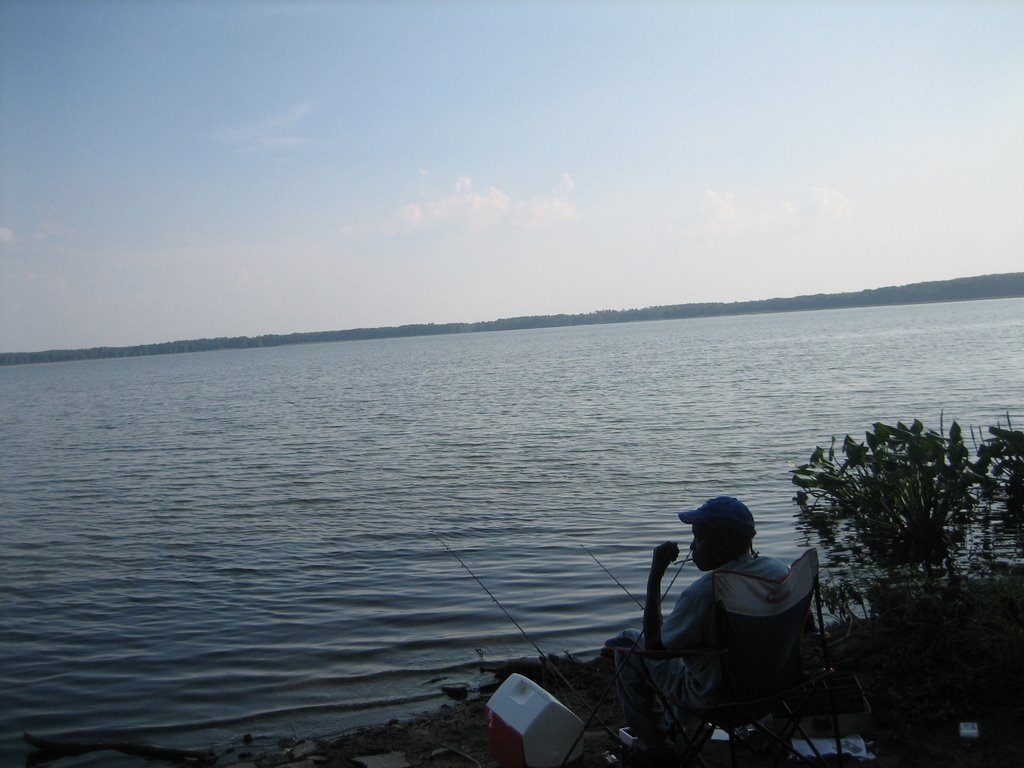 Newnans lake, 5 miles away from UF, Gainesville, FL by kaikobad