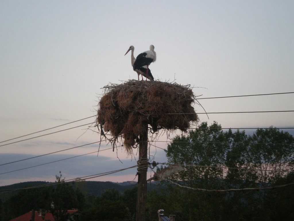 Maltepe by UĞUR EKİN