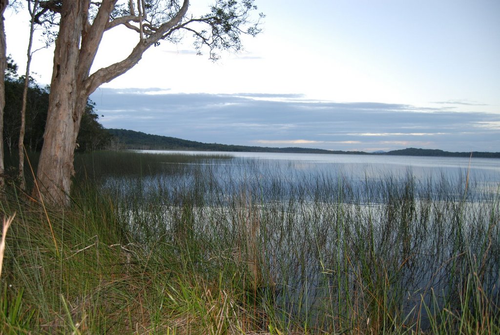 Lake Hiawatha, Yuraygir National Park by NPWSNorthern