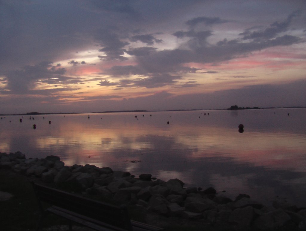 Lac de Der-Chantecoq (w) by willy&chris