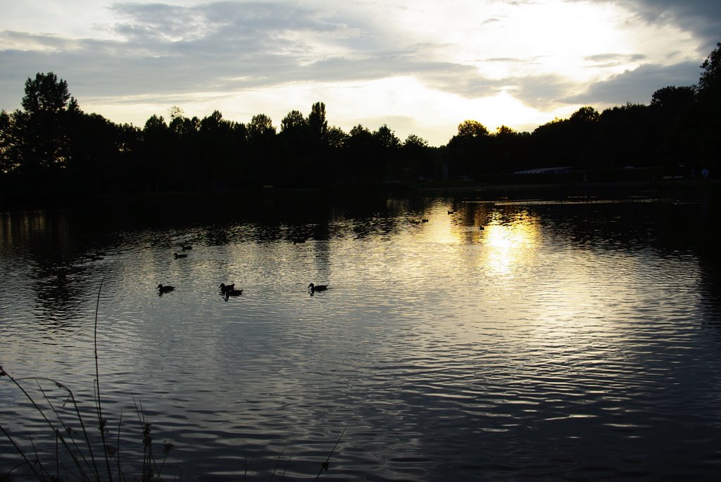 Etang du Camping à Brécey by Micka62