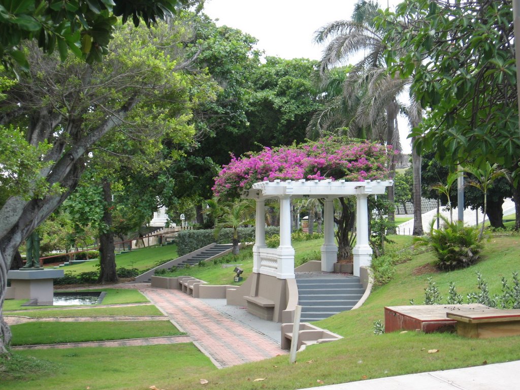 Parque Florido, San Juan by Luis Borrero