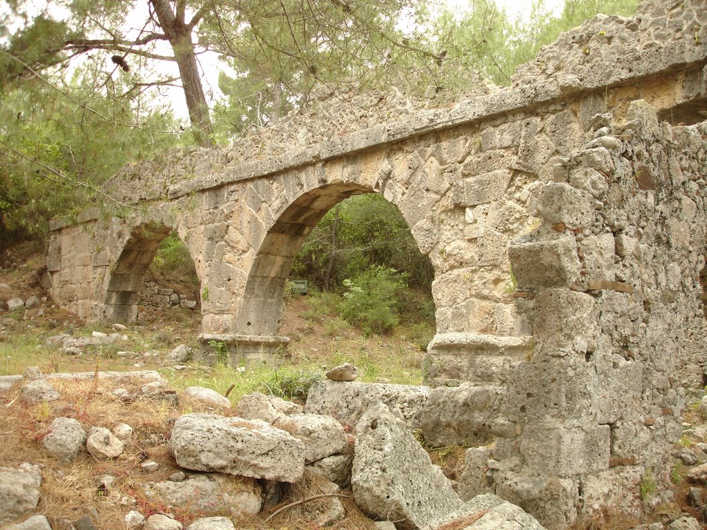 Aqueduct - Phaselis, Turkey by Charles H. Wiesneth