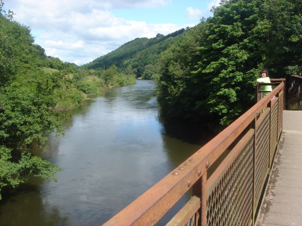 Wye at Redbrook by Mieke Blodwen